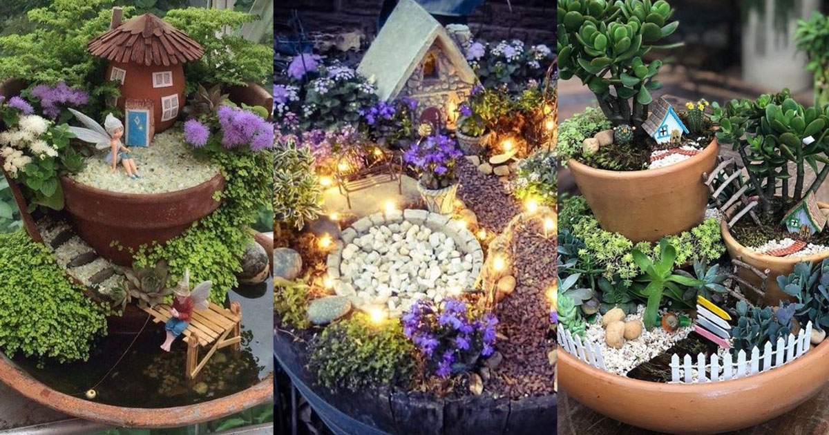 Build Fairy Garden In A Pot, Miniature Plants For A Fairy Garden