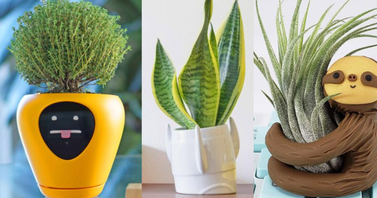Postimpressionisme impuls Forebyggelse HomelySmart | 15 Incredible Fun Planters That Will Change Your Gardening  Game - HomelySmart